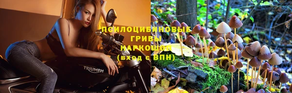 экстази Алексин